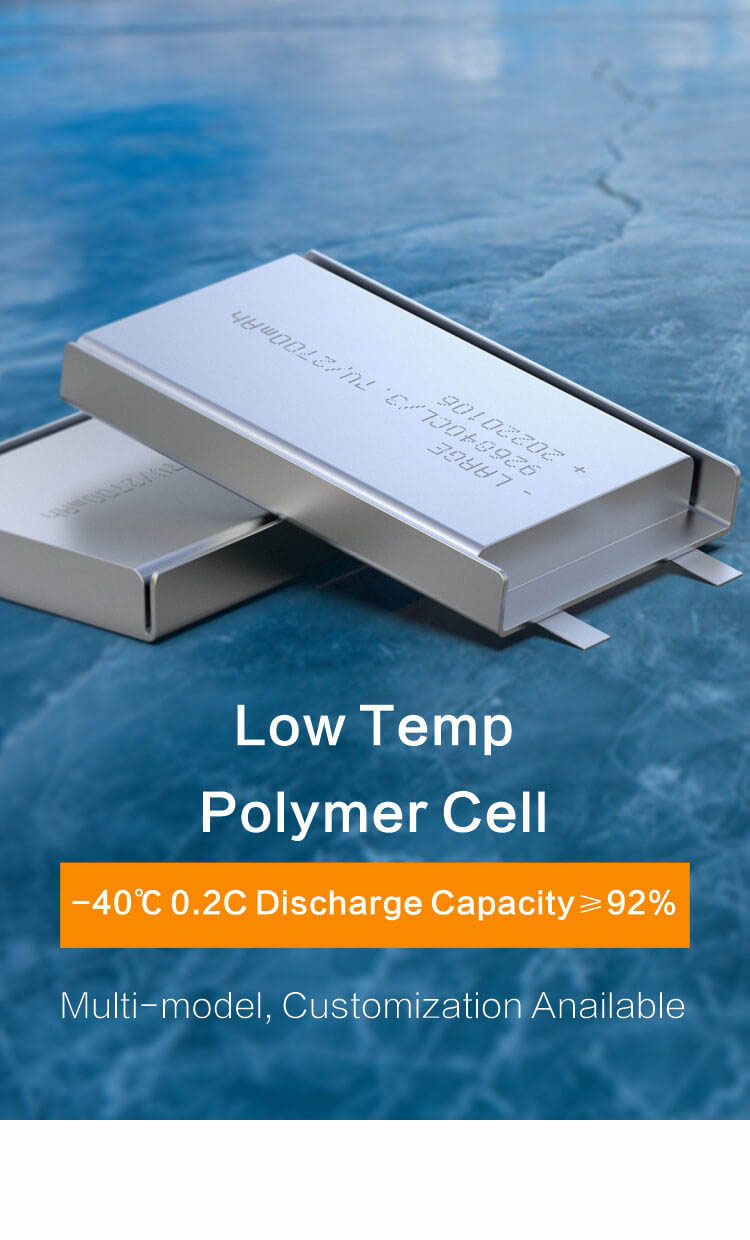Low Temperature Polymer Cell Low Temperature Polymer Cell